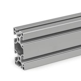 GN 10i Aluminum Profiles, i-Modular System, with Open Slots on All Sides, Profile Type Light Profile size: I-30606L<br />Finish: N - Anodized finish, natural color