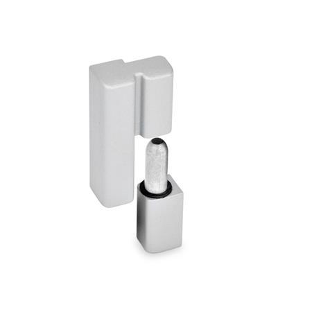 GN 161.2 Zinc Die-Cast Lift-Off Hinges Color: SR - Silver, RAL 9006, textured finish
Type: R - Fixed bearing (pin) right