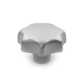DIN 6336 Stainless Steel AISI CF-8 Star Knobs, Blank Type 