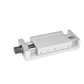 GN 900 Aluminum Adjustable Slide Units Identification no.: 1 - Without adjustable lever<br />Type: D - With control knob