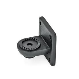 GN 272 Aluminum Swivel Clamp Connector Bases Type: AV - With external serration<br />Finish: SW - Black, RAL 9005, textured finish