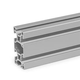 GN 10b Aluminum Profiles, b-Modular System, with Open Slots on All Sides, Profile Type Heavy Profile size: B-30608S<br />Finish: N - Anodized finish, natural color