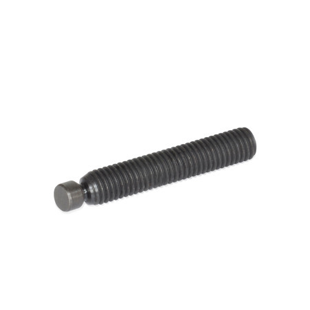  TS Steel Swivel Clamp Screws, with Internal Hex Pad material: ST - Steel