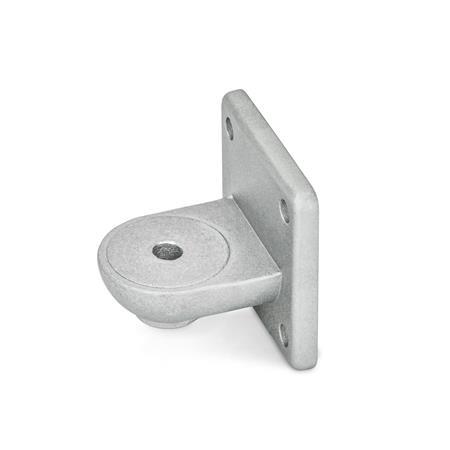 GN 272 Aluminum Swivel Clamp Connector Bases Type: OZ - Without centering step (smooth)
Finish: BL - Plain finish, Matte shot-blasted finish