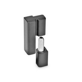 GN 161.2 Zinc Die-Cast Lift-Off Hinges Color: SW - Black, RAL 9005, textured finish<br />Type: R - Fixed bearing (pin) right