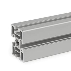 GN 10b Aluminum Profiles, b-Modular System, with Open Slots on All Sides, Profile Type Heavy Profile size: B-456010S<br />Finish: N - Anodized finish, natural color