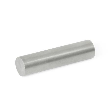 GN 55.3 Unshielded Raw Magnets, Rod-Shaped, without Hole 