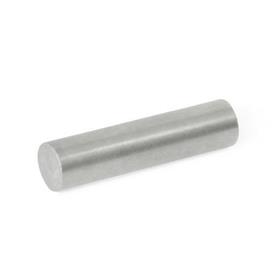 GN 55.3 Unshielded Raw Magnets, Aluminum-Nickel-Cobalt, Rod-Shaped, without Hole 