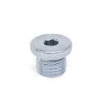 Steel / Stainless Steel Threaded Plugs, with Collar and Internal Hex