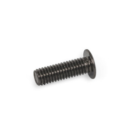 GN 14580.5 Steel / Stainless Steel Socket Cap Screws, with Low-Profile Head, with Internal Hexalobular Material: BN - Steel