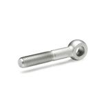 Stainless Steel Swing Bolts