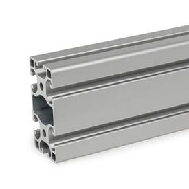 GN 10i Aluminum Profiles, i-Modular System, with Open Slots on All Sides, Profile Type Light Profile size: I-40808L<br />Finish: N - Anodized finish, natural color