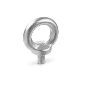 DIN 580 Stainless Steel Lifting Eye Bolts 