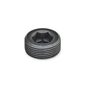 GN 252 Steel Threaded Plugs Type: A - Without thread coating