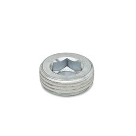 DIN 906 Steel Threaded Plugs, with Tapered Thread 