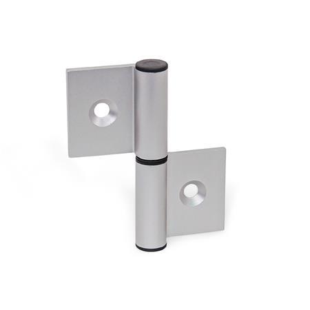 GN 2294 Aluminum Double Winged Lift-Off Hinges, for Profile Systems / Panel Elements Type: A - Exterior hinge wings
Identification: C - With countersunk holes
Bildzuordnung: 82