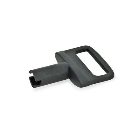 GN 816.1 Plastic Key for Locking Indexing Plungers GN 816.1 