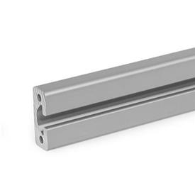 GN 10i Aluminum Profiles, i-Modular System, with Open Slots on All Sides, Profile Type Heavy Profile size: I-40168S<br />Finish: N - Anodized finish, natural color