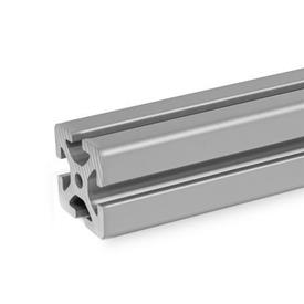 GN 10i Aluminum Profiles, i-Modular System, with Open Slots on All Sides, Profile Type Heavy Profile size: I-40408S<br />Finish: N - Anodized finish, natural color