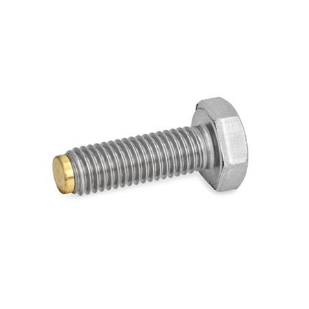 GN 933.5 Stainless Steel Hex Head Screws, with Brass / Plastic Tip or Ball End Type: MS - Brass tip