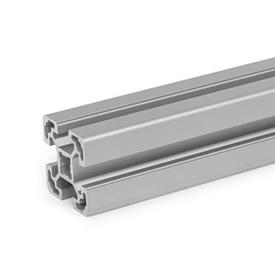 GN 10b Aluminum Profiles, b-Modular System, with Open Slots on All Sides, Profile Type Light Profile size: B-404010L<br />Finish: N - Anodized finish, natural color