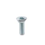 Steel Cam Point Screws