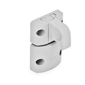 EN 449 Mécanismes de verrouillage de porte à vis d'étrier en Plastique technopolymère Type: B - Fermeture à déclic avec poignée étrier<br />Couleur: LG - Gris, finition mate