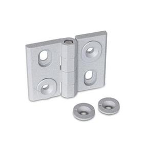 GN 127 Zinc Die-Cast Hinges, Adjustable, with Alignment Bushings Type: H - Vertical slots<br />Color: SR - Silver, RAL 9006, textured finish