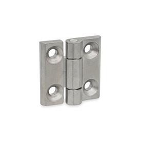 GN 237.3 Stainless Steel Heavy Duty Hinges Type: A - With bores for countersunk screws<br />Finish: GS - Matte shot-blasted finish